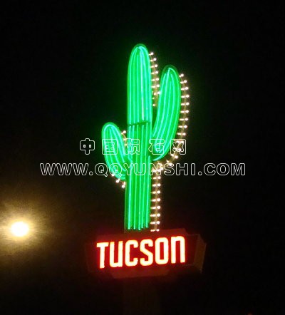 tucson-cactus[1].jpg