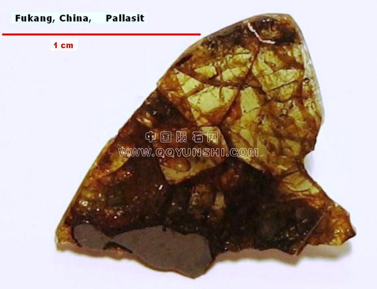 fukang.jpg