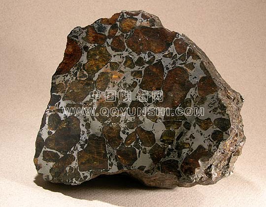acomita-g[1].jpg