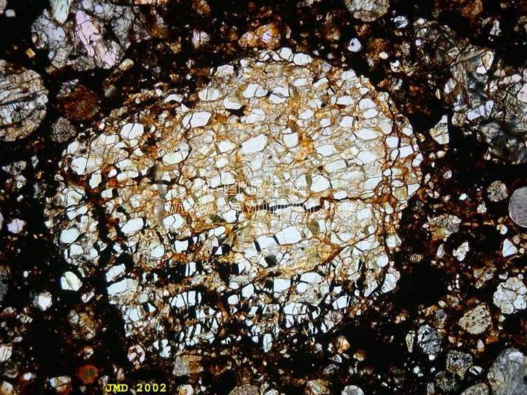2橄榄石球粒从H3球粒陨石布朗菲尔德（1937年）同一球粒无偏光镜。橄榄石晶体出现很清楚.jpg