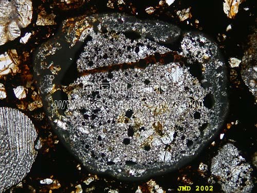 H3球粒陨石棕地的各种陨石球粒 (颗粒的橄榄石，辉石球粒与黑暗的边缘 ).jpg