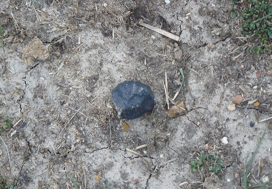 hc_dd_09[1]陨石！第一块石头发现的早期队（现场）.jpg