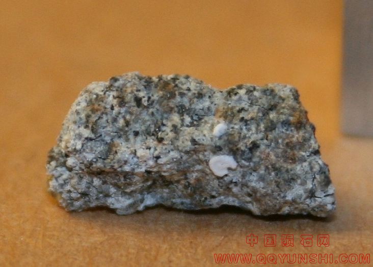us_NewOrleans_meteorite_139[1].jpg