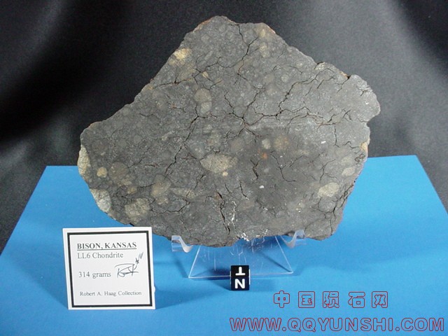 bison_kansasmeteoritessociety.JPG