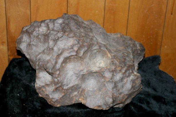 273 pound Gibeon Meteorite  $200,000 (龙开慧、龙翔等).jpg