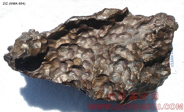 ZIZ iron meteorite NWA 854.jpg