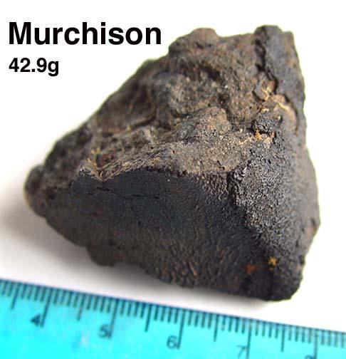 murchison_blood.jpg