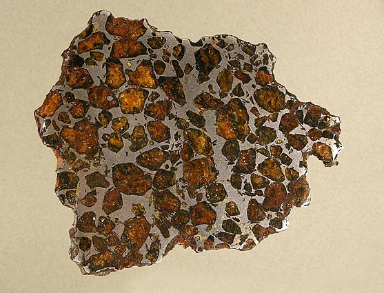 DoraPallasite2.jpg