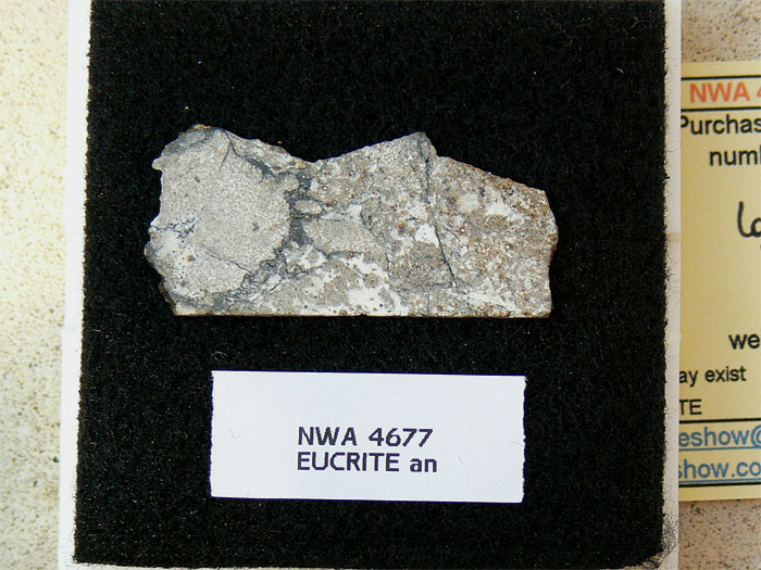 nwa4677_beroud.jpg