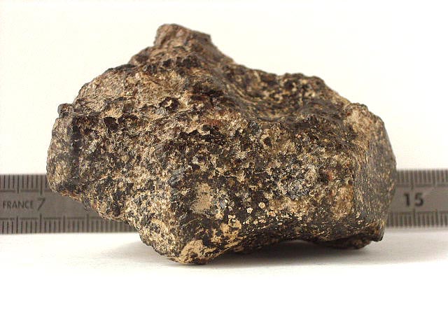 NWA4677_meteoriteshow2.jpg