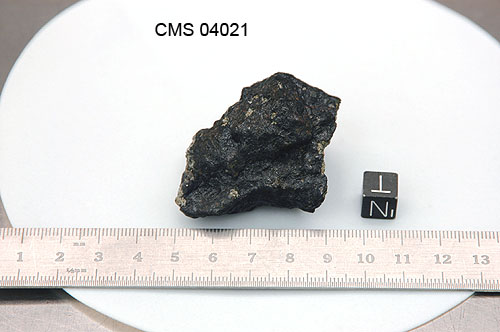 CMS04021n.jpg