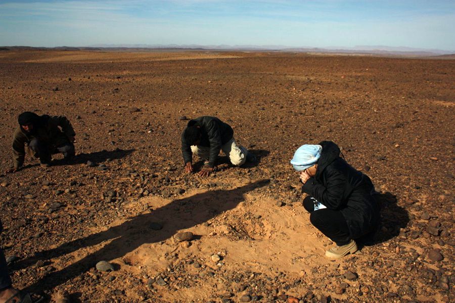 field-research-tissint-meteorite.jpg