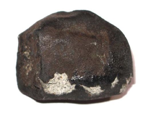 Freshly-Fallen-Chondrite.jpg