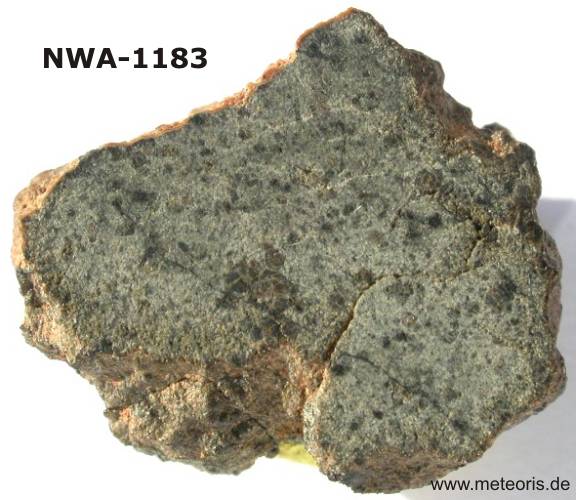 NWA-1183.jpg