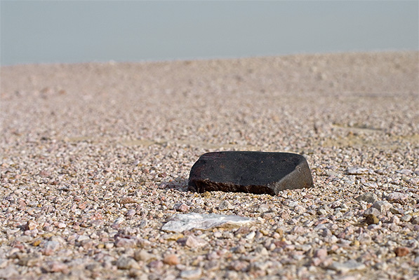 meteorite chondrite desert find 597.jpg
