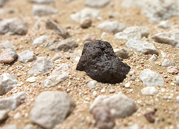 meteorites desert find.jpg
