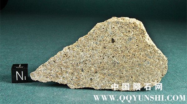 Mount Tazerzait_meteorite_porous_chondrite.jpg