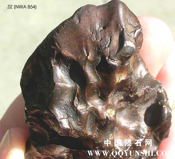 Ziz Eisenmeteoriten NWA 854 .jpg