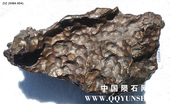 ZIZ iron meteorite NWA 854.jpg