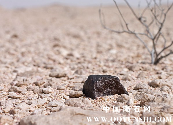 desert varnish on meteorite.jpg