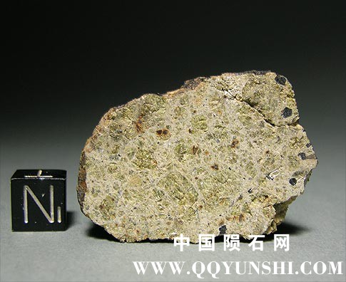 meteorite diogenite endcut.jpg