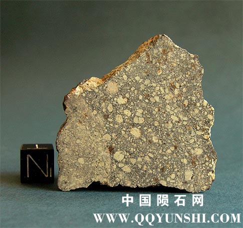 NWA 4473 diogenite meteorite.jpg