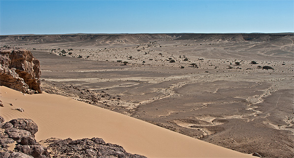 Saquia_al_Hamra.jpg