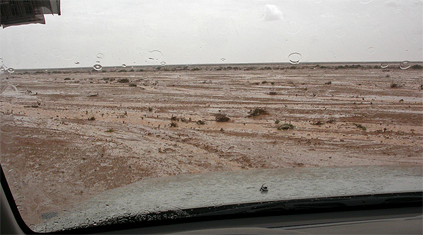 rain_in_the_sahara_1.jpg