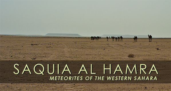 Meteorites_Western_Sahara_8.jpg