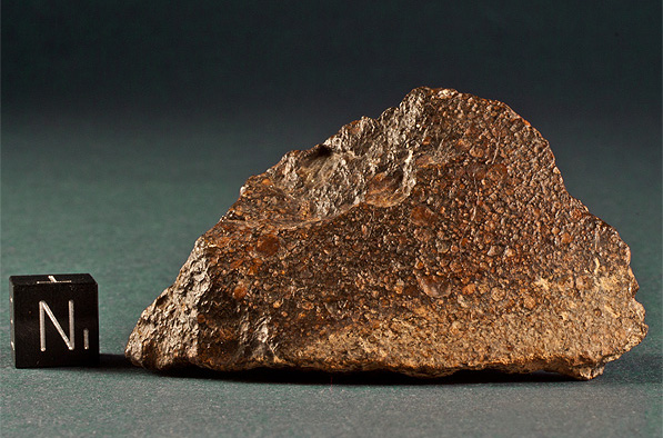 Meteorite_Chondrite_Western_Sahara.jpg