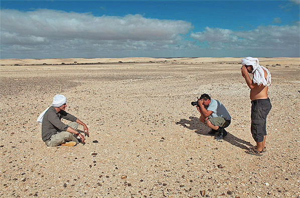 Meteorit_Fund_Chondrit_Westsahara.jpg