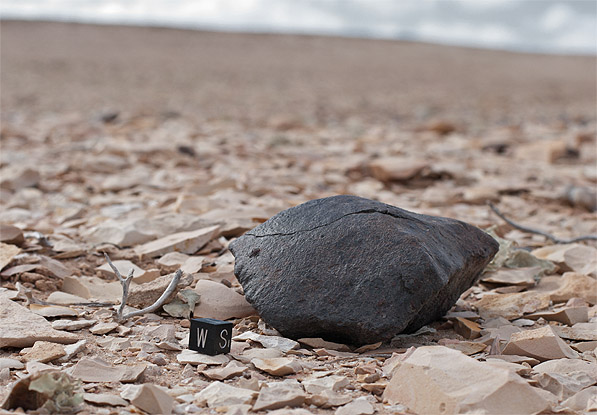 Meteorite_find_chondrite_Western_Sahara_005.jpg