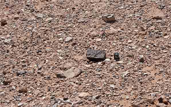 Meteorit_in_situ_Westsahara.jpg