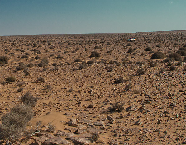 Meteorite_searching_western_sahara_001.jpg