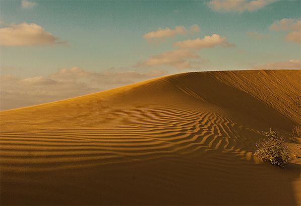 Meteoritensuche_Westsahara_22.jpg