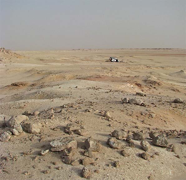 meteorite search i. desert.jpg