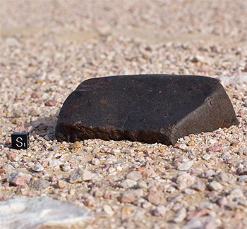 The meteorite find in situ.jpg