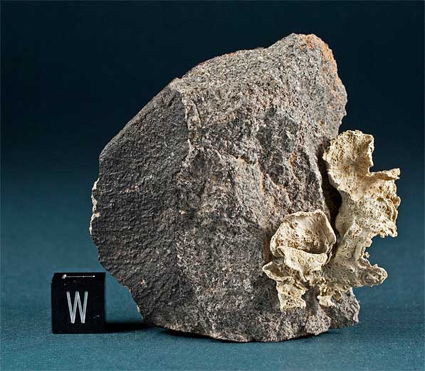 G'idat_Amwizirat_eucrite_meteorite_597c.jpg