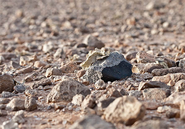 G'idat_Amwizirat_eucrite_meteorite_in_ situ_b597.jpg