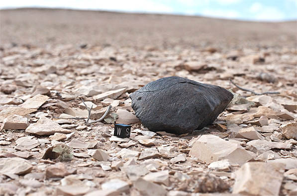 G'idat_Amwizirat_chondrite_meteorite_in_situ_597.jpg