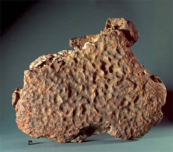 Gibeon_Iron_Meteorite_octahedrite_597.jpg