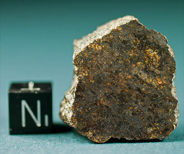 Ureilite_meteorite_achondrite_DAG 999.jpg
