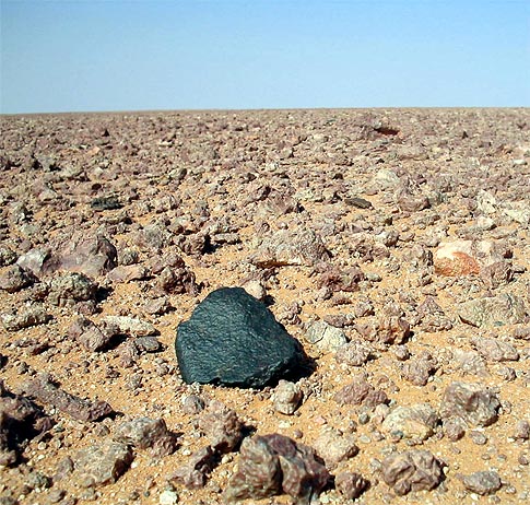 HAH 336 meteorit in situ 485.jpg