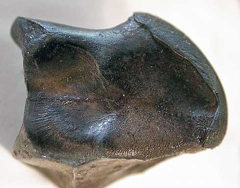 sikhote-alin-meteorite.jpg