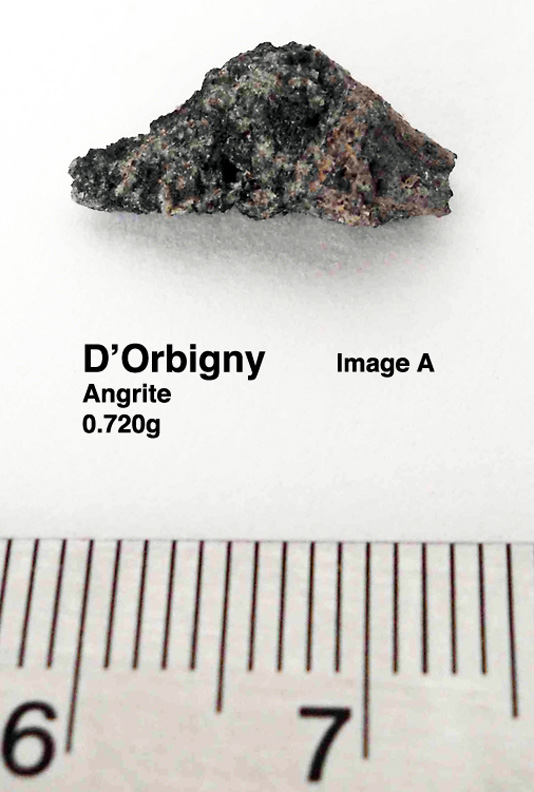 D'Orbigny0.72gA.jpg