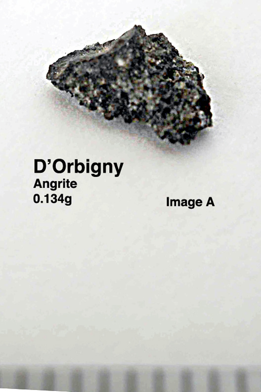 D'Orbigny0.134gA.jpg