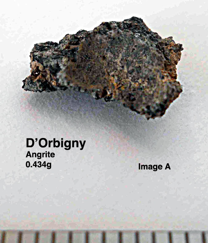 D'Orbigny0.434gA.jpg