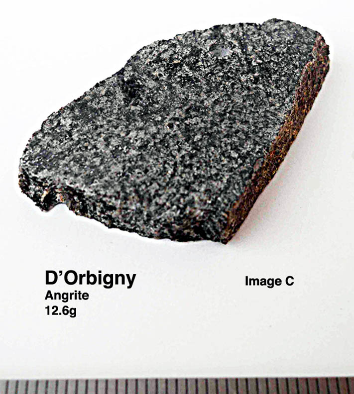 D'Orbigny12.6gC.jpg