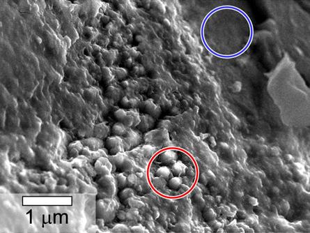 PIA17954-MarsMeteoriteOnEarth-Yamato000593-20140227.jpg