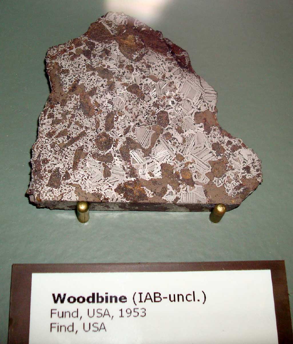 50woodbine.jpg